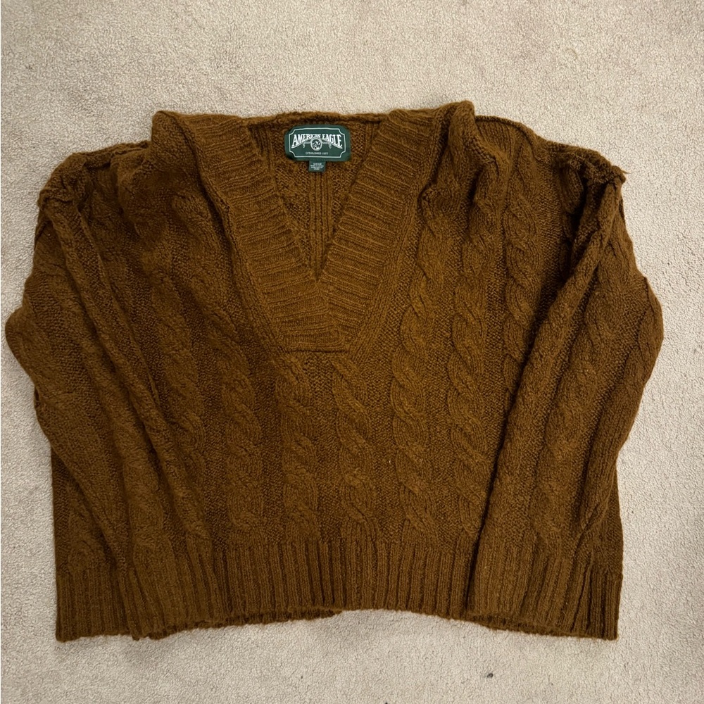 American Eagle Hooded Sweater
